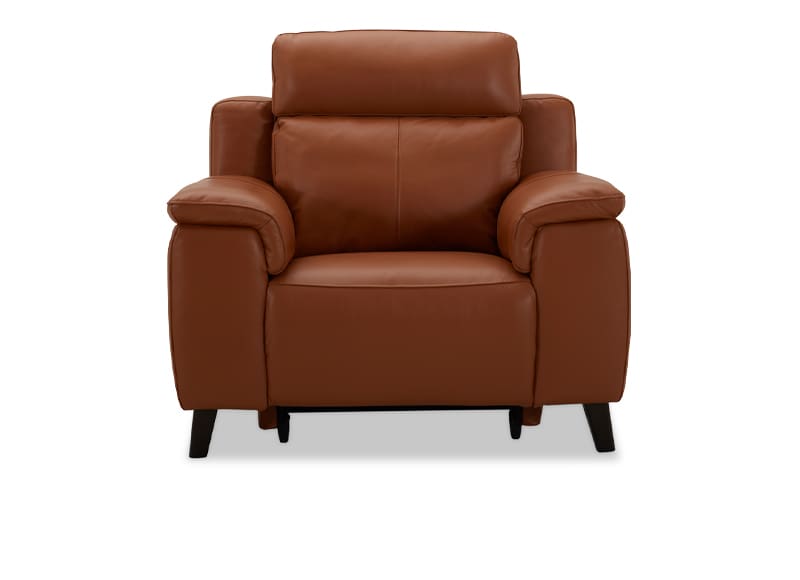 Dane 1 Seater Recliner Electric Recliner Leather