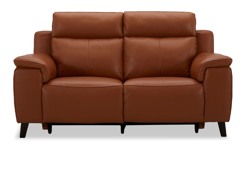 Dane 2 Seater Electric Recliner Leather